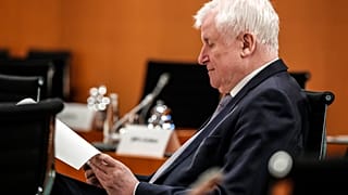 Hors Seehofer