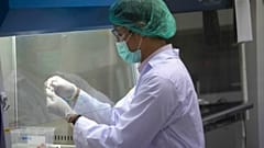 lab