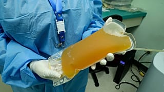 Plasma (file photo)