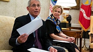 Dr. Fauci