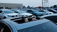 Drive in συναυλία στη Νότια Κορέα