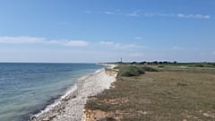 Ile d'Oléron, juillet 2018 - archives