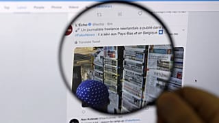 fake news 