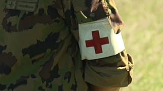 Швейцарский резервист