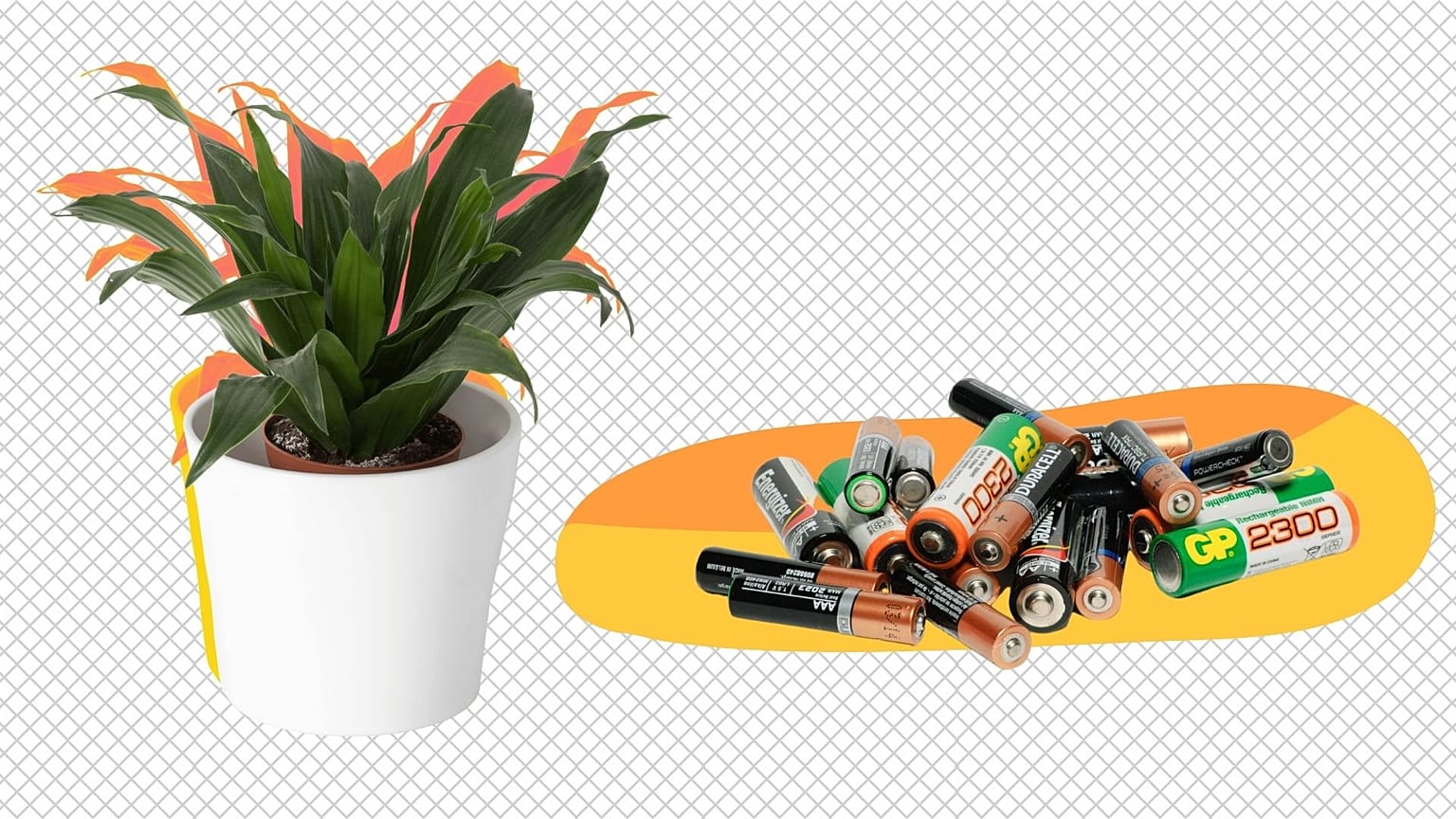 Chemicals found in batteries can be used to create plant food. 