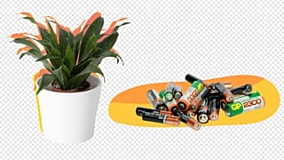 Chemicals found in batteries can be used to create plant food. 