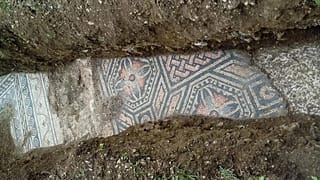 Мозаика в виноградниках
