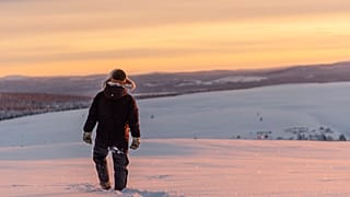 Arctic bölgesi 