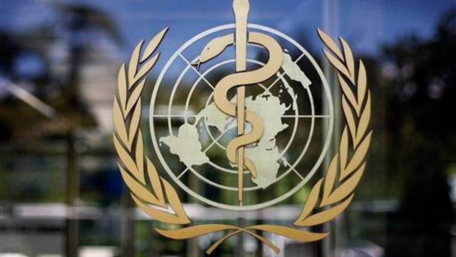 سازمان جهانی بهداشت