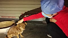 ممرضة صينية مع أحد الكلاب