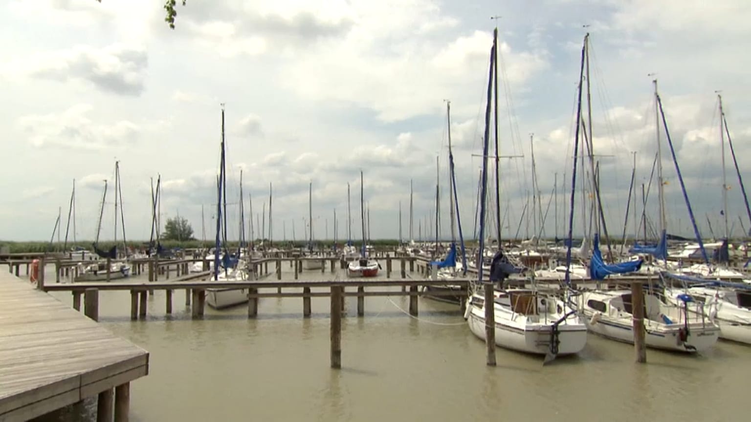 Neusiedl, un lac en voie de disparition en Autriche