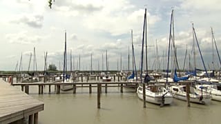 Vészesen apad a Fertő-tó 