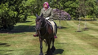 Briten atmen auf: Die Queen ist wieder hoch zu Ross