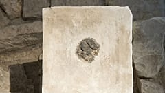 Israel Ancient Cannabis