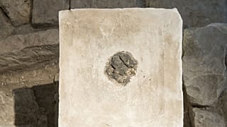 Israel Ancient Cannabis