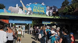 Le zoo de Beauval