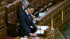 Pedro Sánchez en el Congreso de los diputados