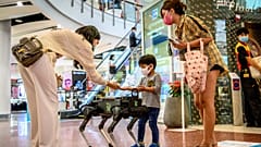 Robotkutya segít betartani a higiéniás szabályokat