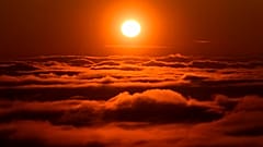 Copernicus-Klimabericht: Mai 2020 war zu warm