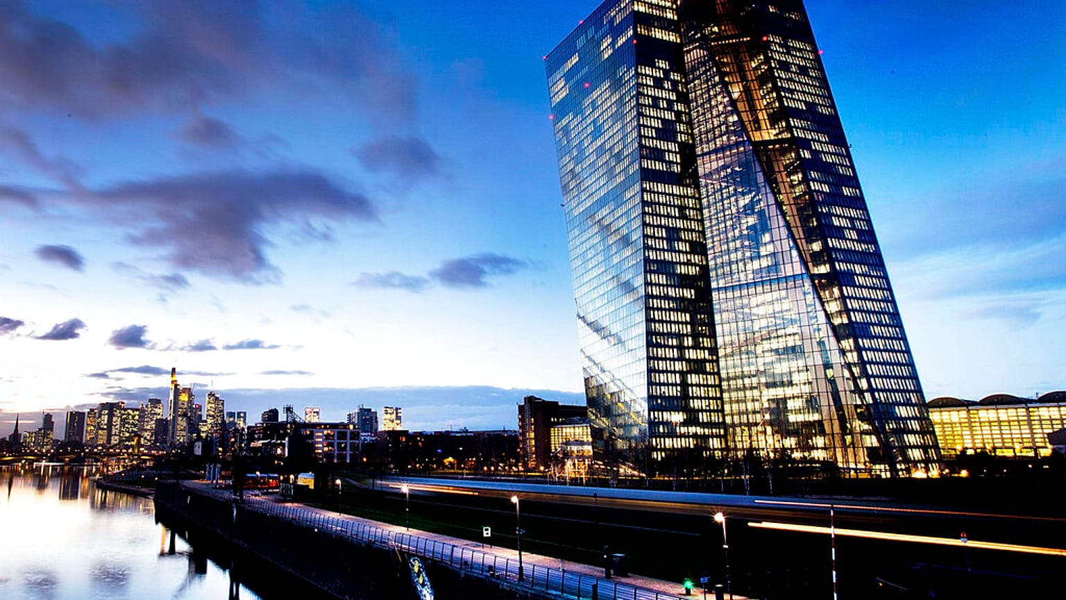 the European Central Bank (ECB)