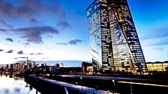 the European Central Bank (ECB)
