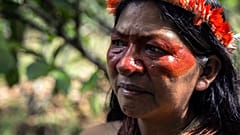 Indigenous-governed land has the highest levels of biodiversity.