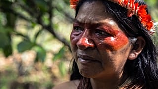 Indigenous-governed land has the highest levels of biodiversity.