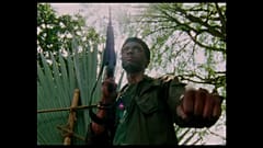Vietnam afroamerikai szemmel