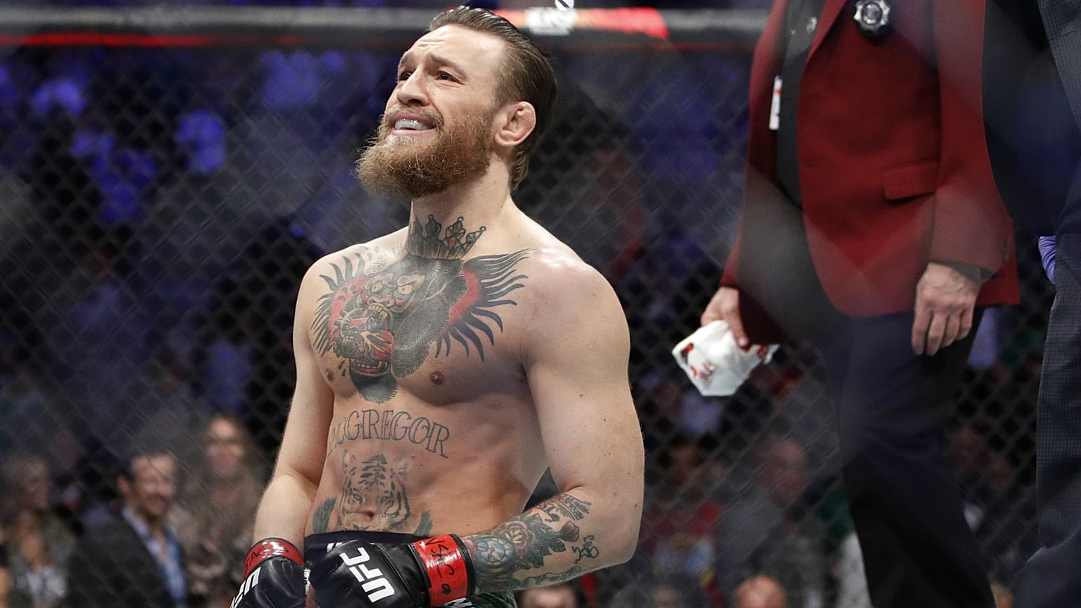İrlandalı karma dövüş sanatları sporcusu Conor McGregor