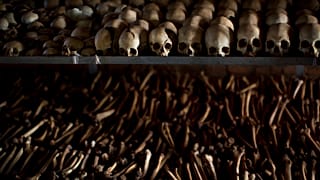 Le génocide des Tutsis au Rwanda en 1994 a fait entre 800 000 et un million de morts.