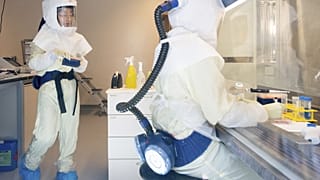 Ricercatori dell'Helmholtz Centre for Infection Research HZI di Brunswick, Germania, 8 maggio 2020