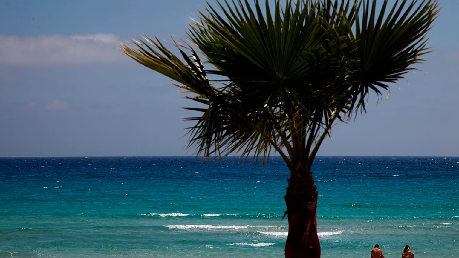 Cyprus Virus Outbreak