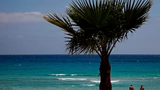 Cyprus Virus Outbreak