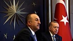 Cavusoglu and Erdogan