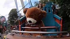 Ein Abstands-Teddy im Tivoli