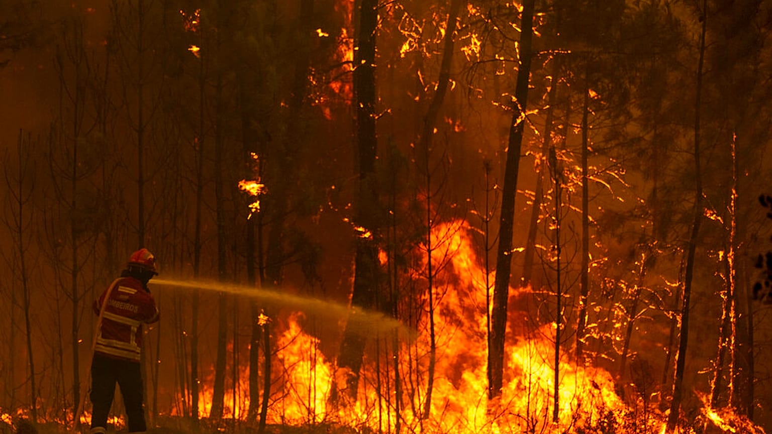 Firefighters try to extinguish a wildfire at the village of Chaveira, near Macao, in central Portugal on Monday, July 22, 2019.