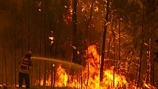 Firefighters try to extinguish a wildfire at the village of Chaveira, near Macao, in central Portugal on Monday, July 22, 2019.