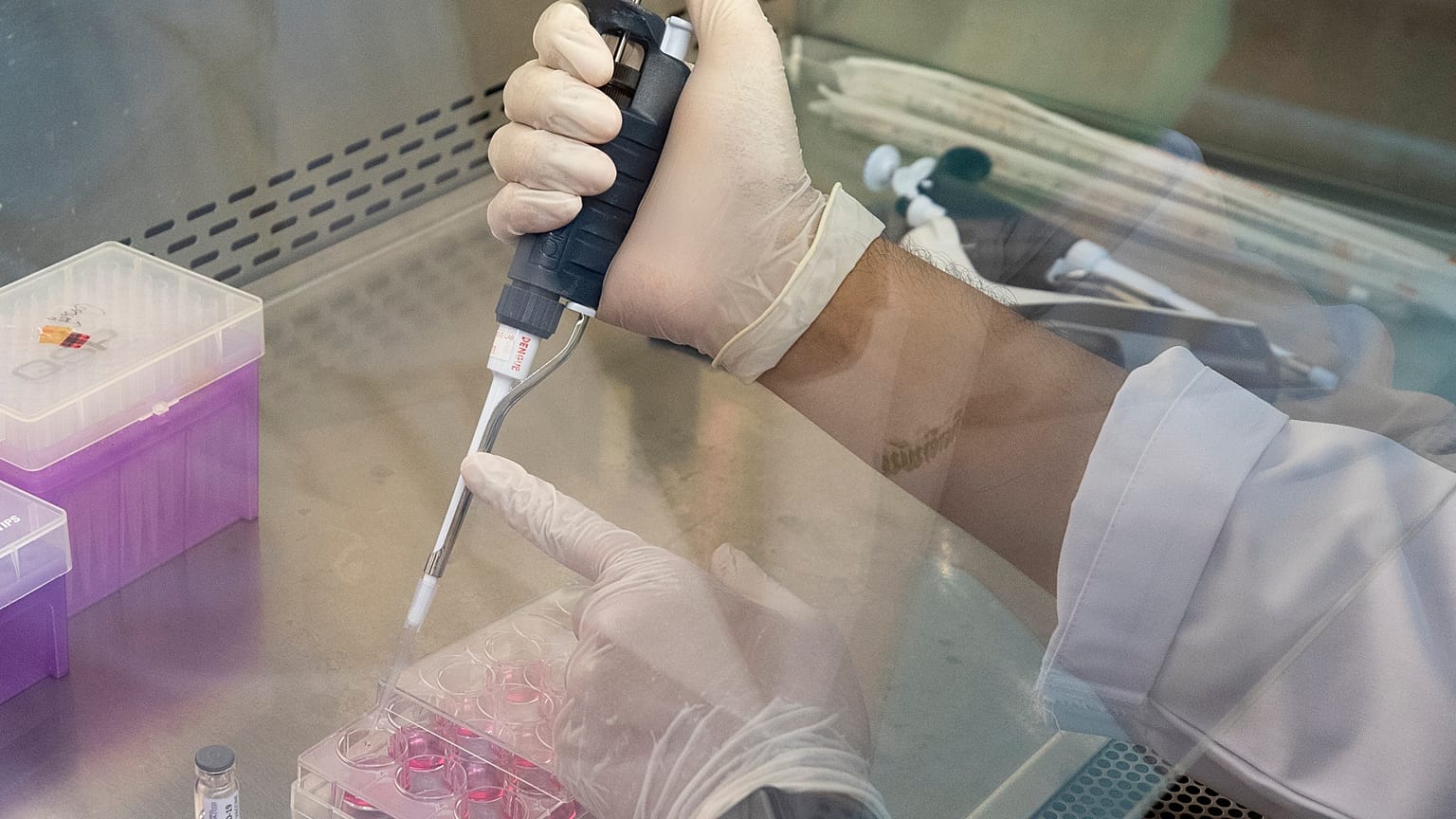 تجارب على لقاح مضاد للفيروس
