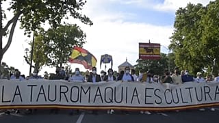 Pro-Corrida-Demonstration in Sevilla
