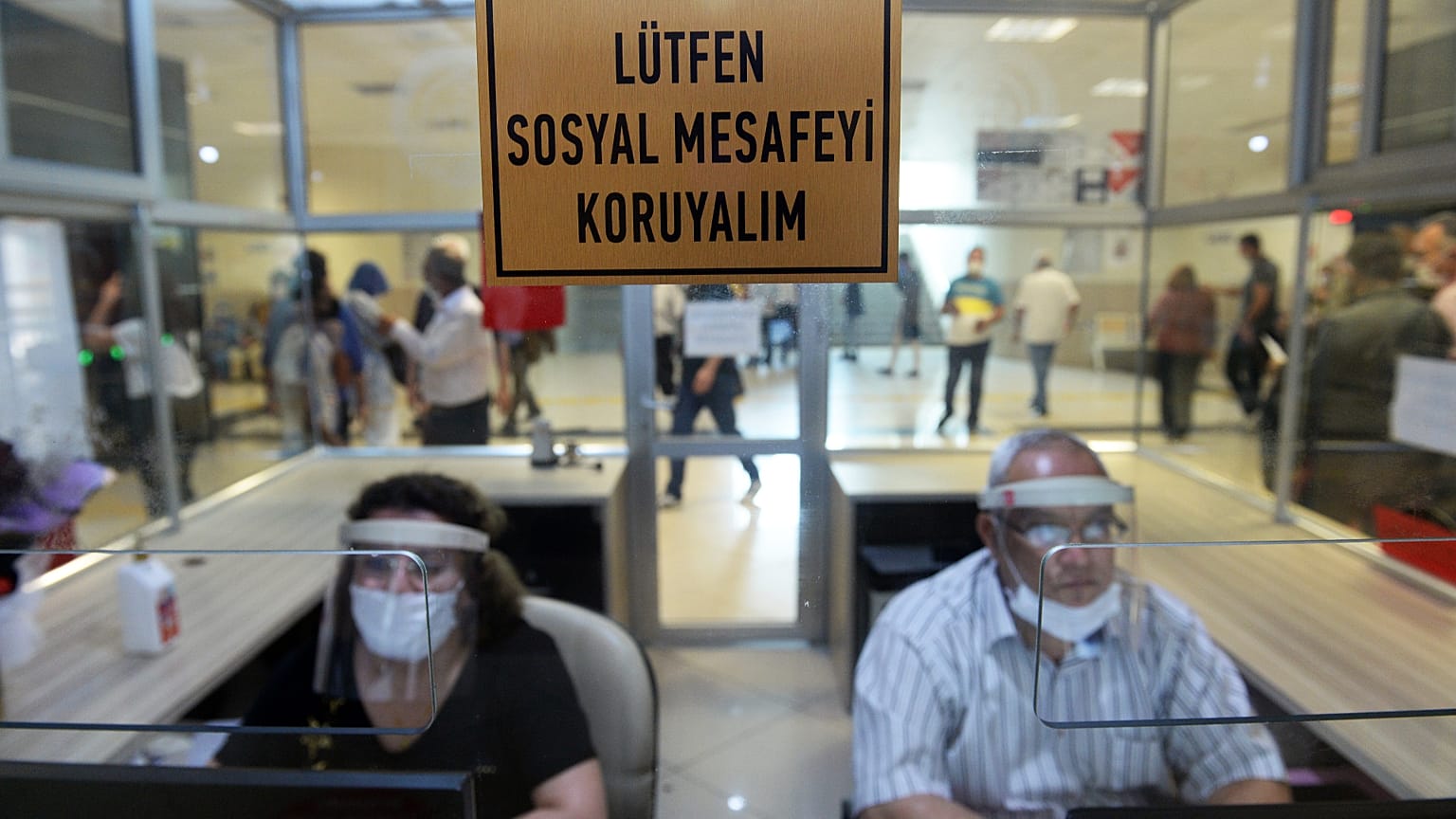 Kontrollü sosyalleşme