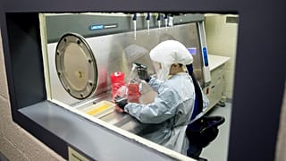 Koronavírus-kutatás egy amerikai laborban