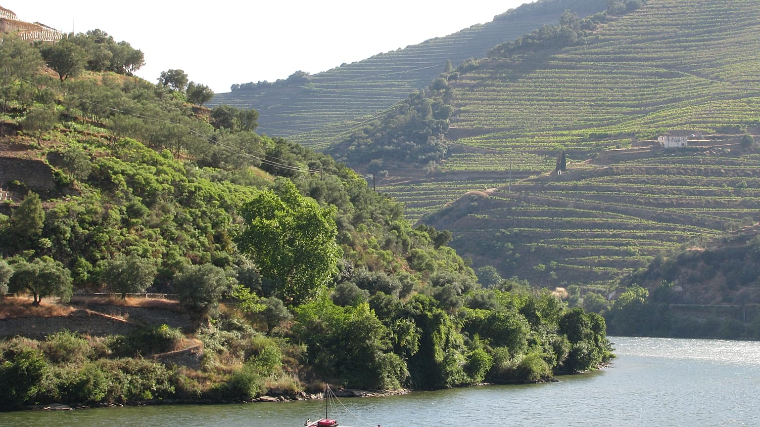 Cruzeiros voltam ao Douro