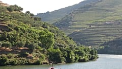 Cruzeiros voltam ao Douro