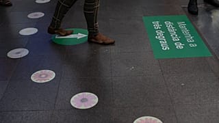 Brazil Virus Outbreak