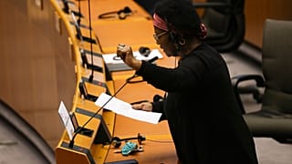 Uniós politikust is érhet rendőri erőszak Európában