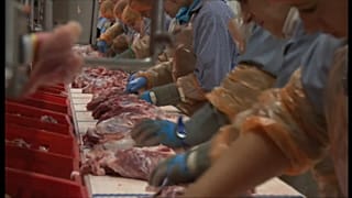 Más de 650 casos de covid entre los trabajadores de un matadero en Alemania