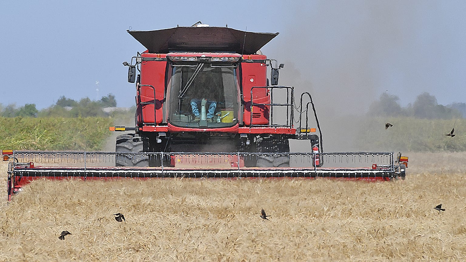 Agriculture