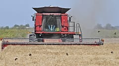 Agriculture