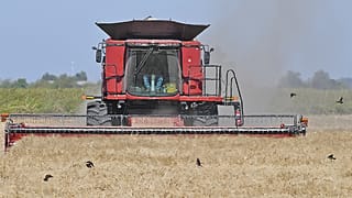 Agriculture