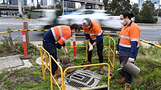 Una foto del 19 maggio scorso scattata a Melbourne, Australia, dove è stato avviato uno studio idrografico per combattere l'epidemia di Covid-19